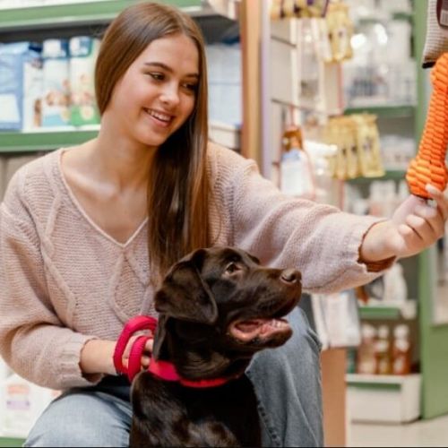 Accesorios para perro