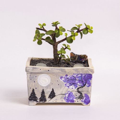 Winter Pot