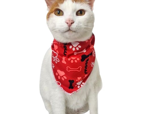 Pañoletas personalizadas