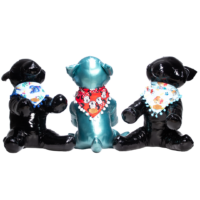 Accesorios pañoletas