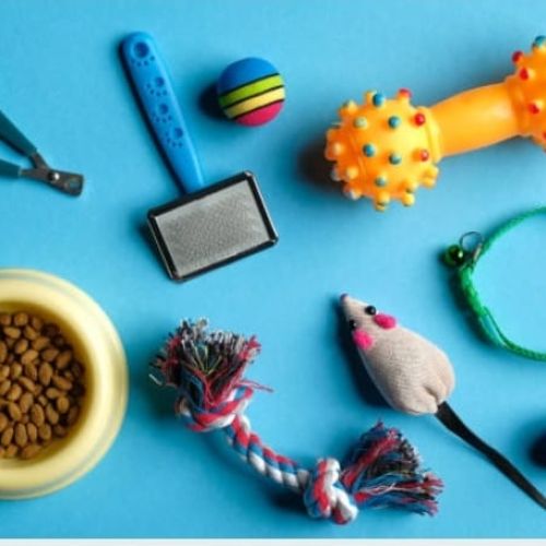 Accesorios Para Gatos