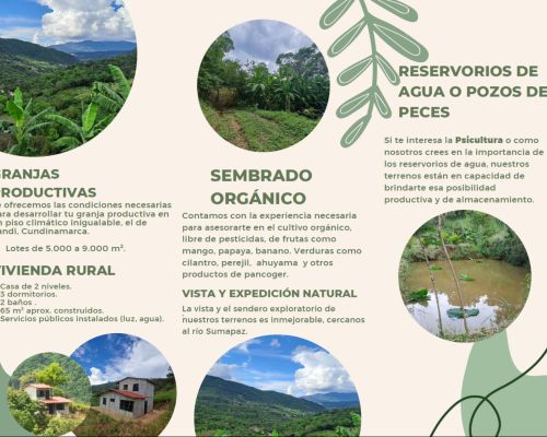 Granjas Productivas