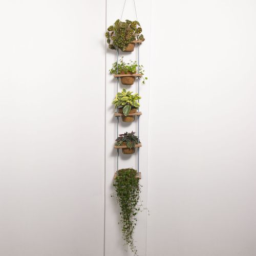 Jardín colgante 5 Niveles