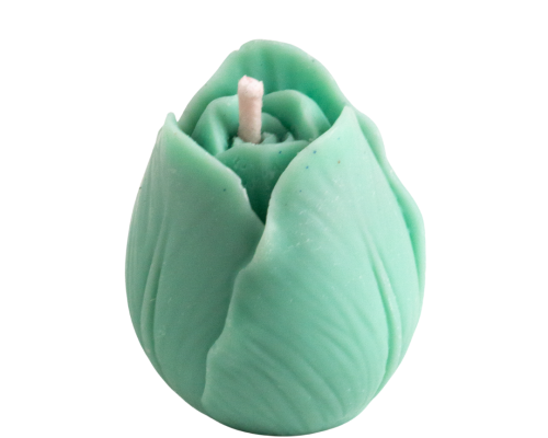 Vela Tulipán