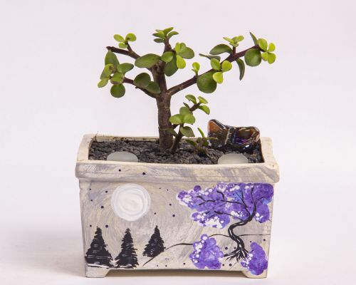 Winter Pot