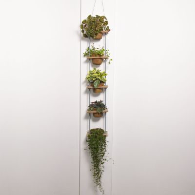 Jardín colgante 5 Niveles