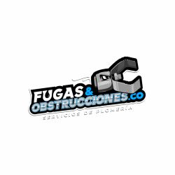 Fugas y Obstrucciones.co