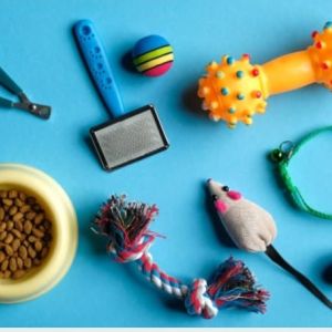 Accesorios para Gatos