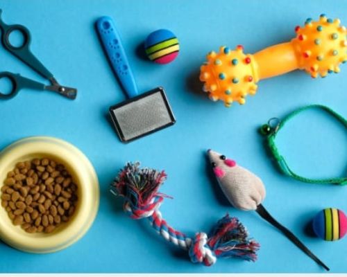 Accesorios para Gatos