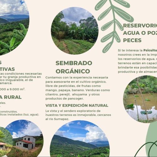 Granjas Productivas
