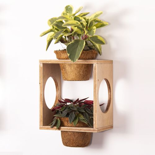 Jardín Repisa Cuadrangular