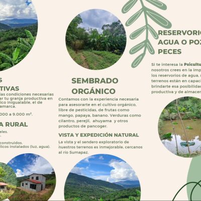 Granjas Productivas