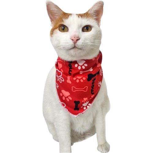 Pañoletas personalizadas